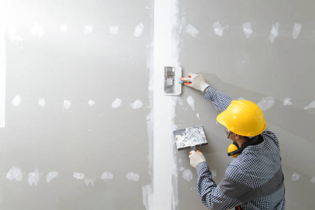 Best Mold Removal for HVAC Installations  in North Grosvenor Dale, CT
