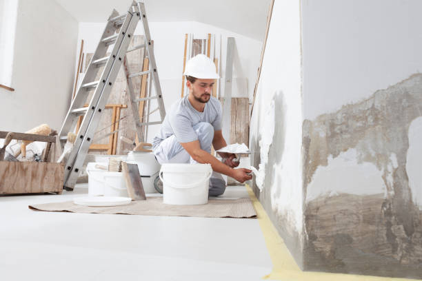 Best Emergency Mold Remediation  in North Grosvenor Dale, CT