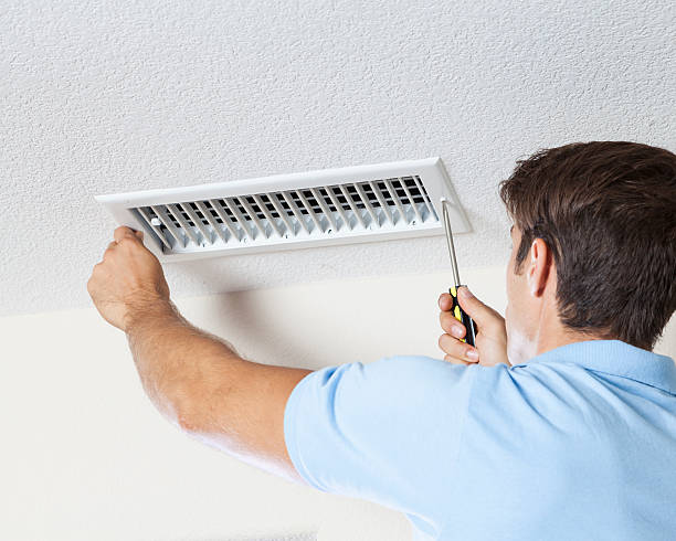 North Grosvenor Dale, CT Mold Removal Company