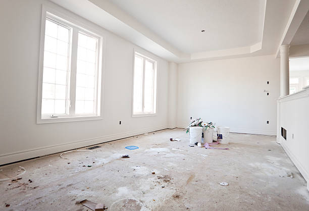 Best Attic Mold Removal  in North Grosvenor Dale, CT