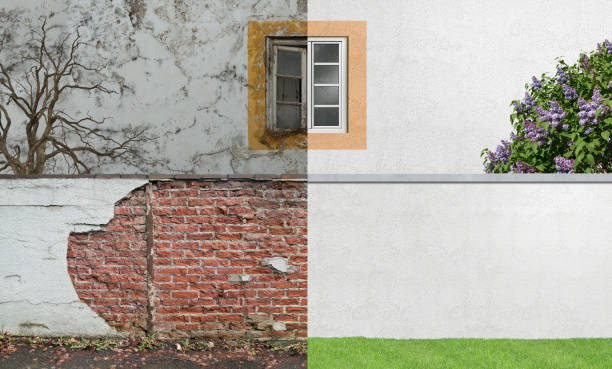 Environmental Consulting for Mold Prevention in North Grosvenor Dale, CT