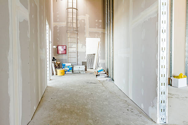 Best Real Estate Mold Inspection  in North Grosvenor Dale, CT