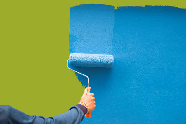Best Black Mold Removal  in North Grosvenor Dale, CT